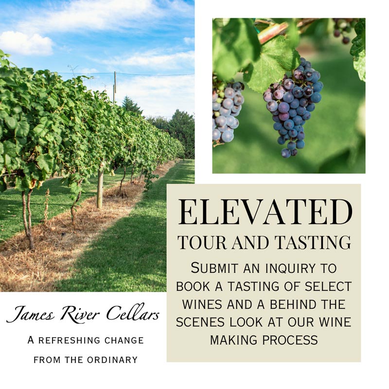 Elevated Tour and Tasting