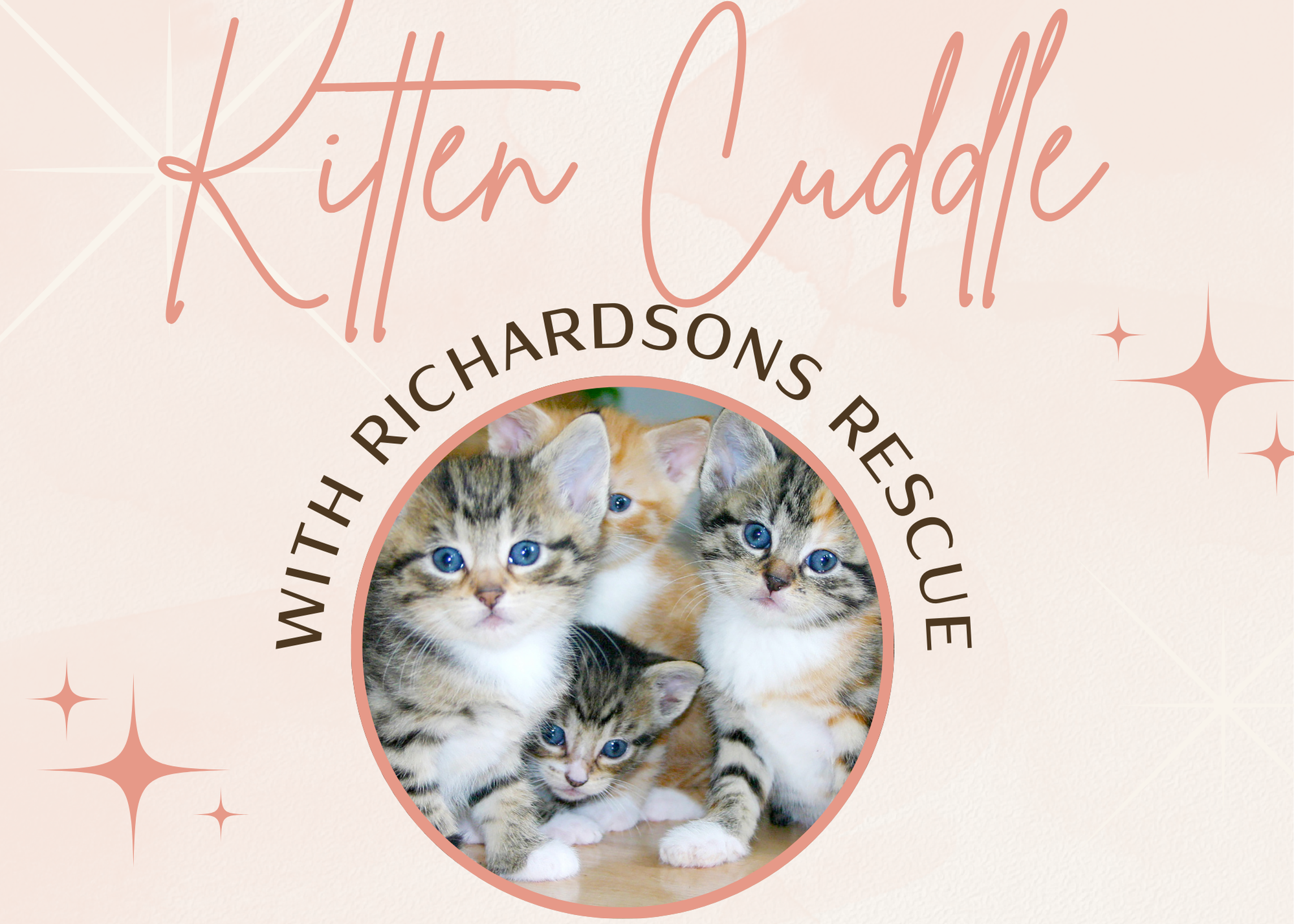 Kitten Cuddle